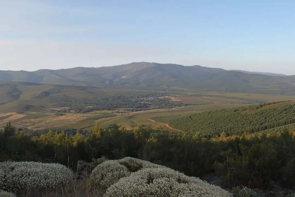 Alto de San Juan (San Juan de la Cuesta) - Iberlobo on Bike