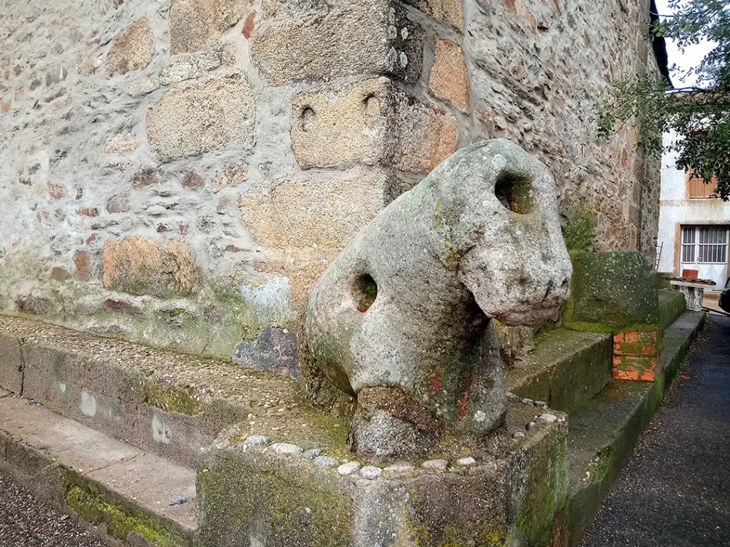 Becerro de San Vitero - Iberlobo on Bike