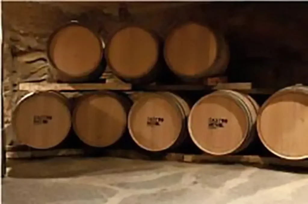 Bodegas Castro Mendi (San Blas) - Iberlobo on Bike