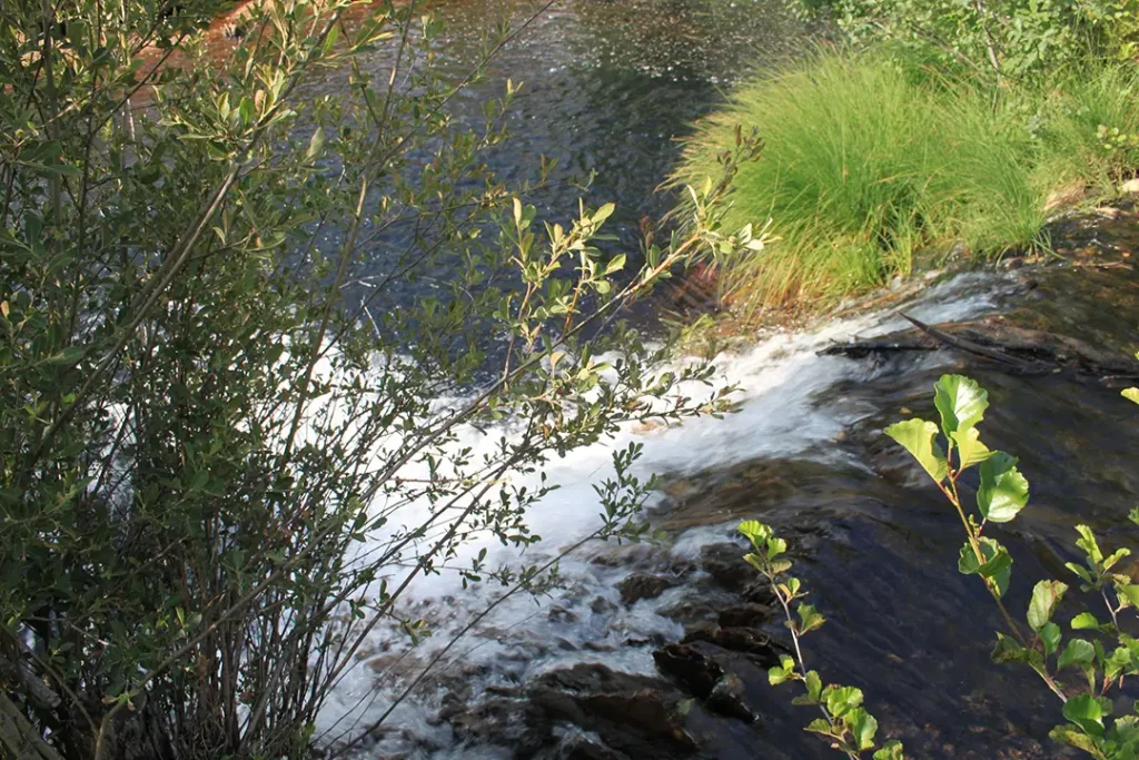 Cascada de Santa Bárbara (Boya) - Iberlobo on Bike