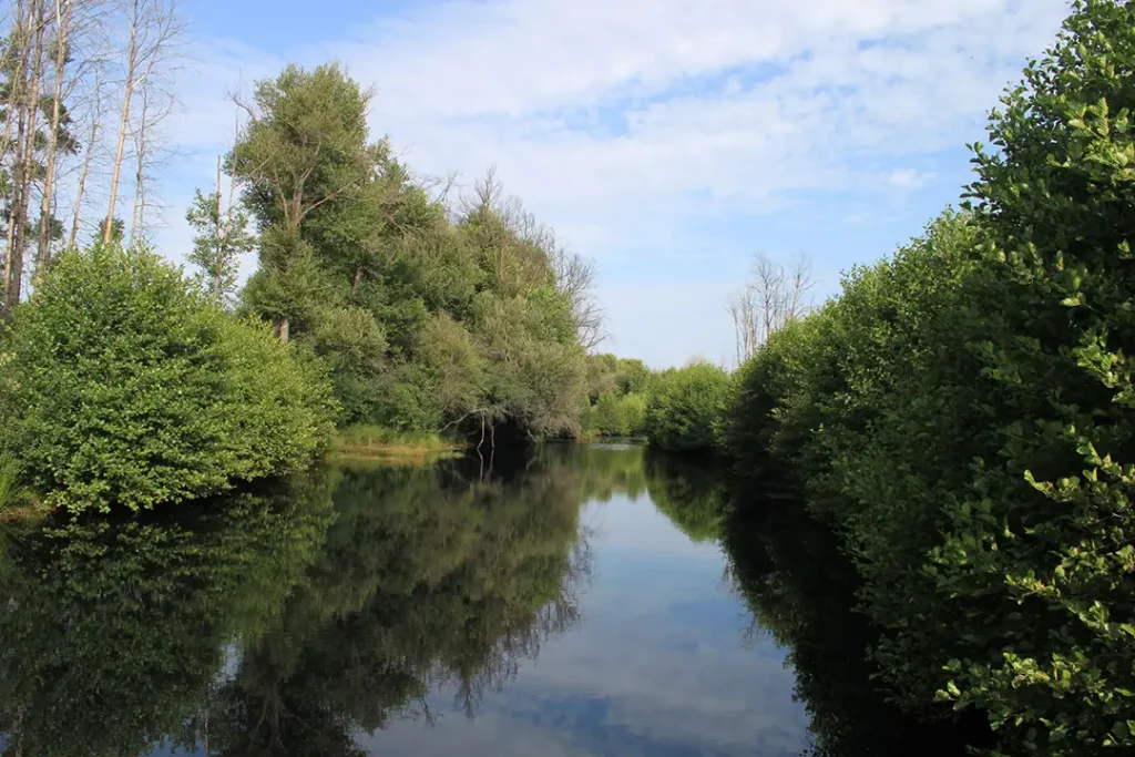 Cascada de Santa Bárbara (Boya) - Iberlobo on Bike