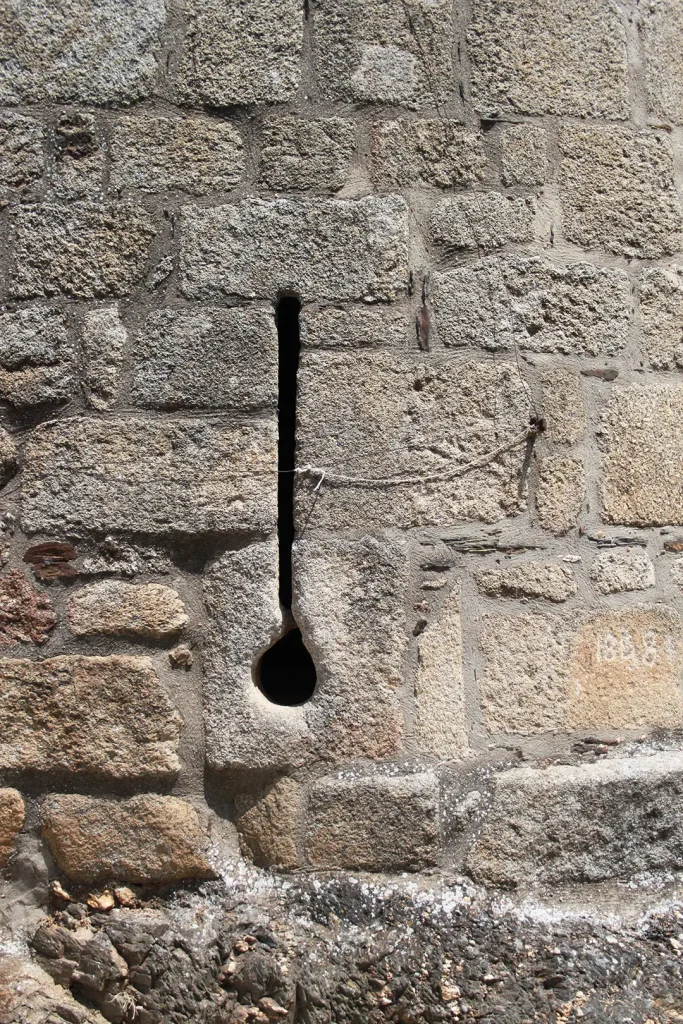 Castillo de Alcañices - Iberlobo on Bike