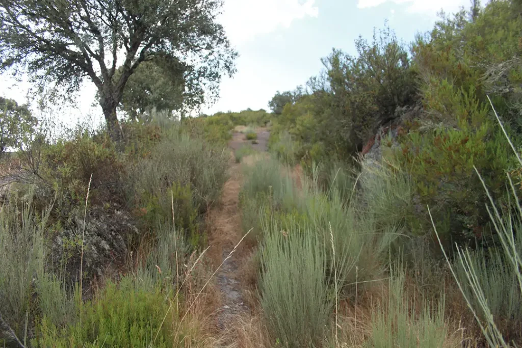 Castro de Riomanzanas - Iberlobo on Bike