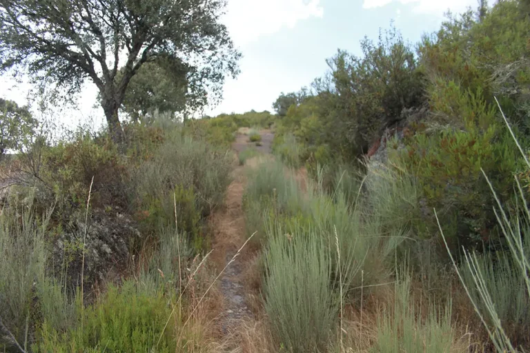 Castro de Riomanzanas - Iberlobo on Bike