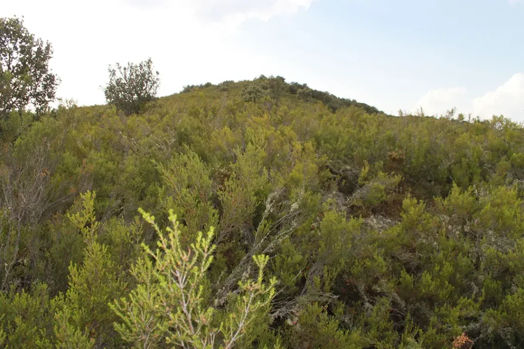 Castro de Riomanzanas - Iberlobo on Bike