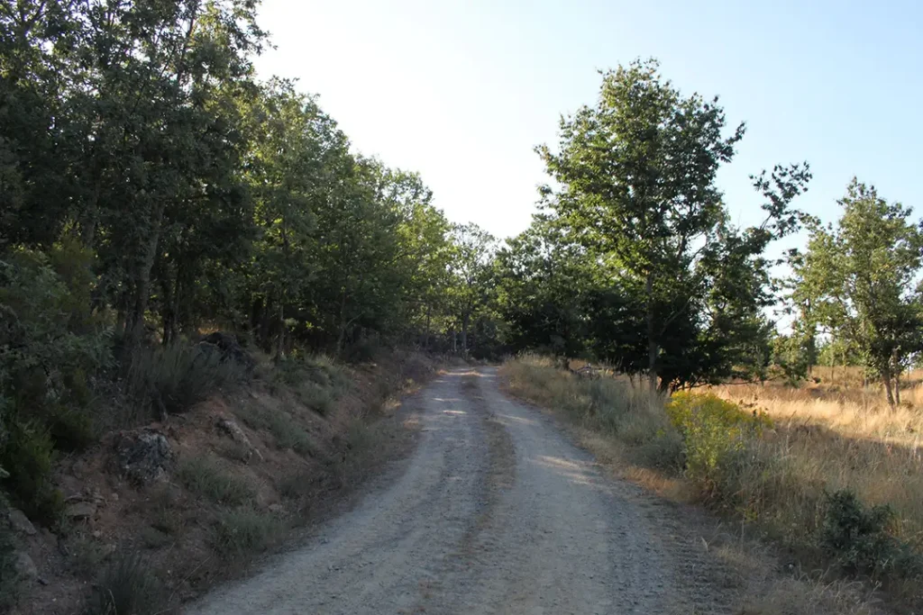 Disruta Curucuta (Asturianos) - Iberlobo on Bike