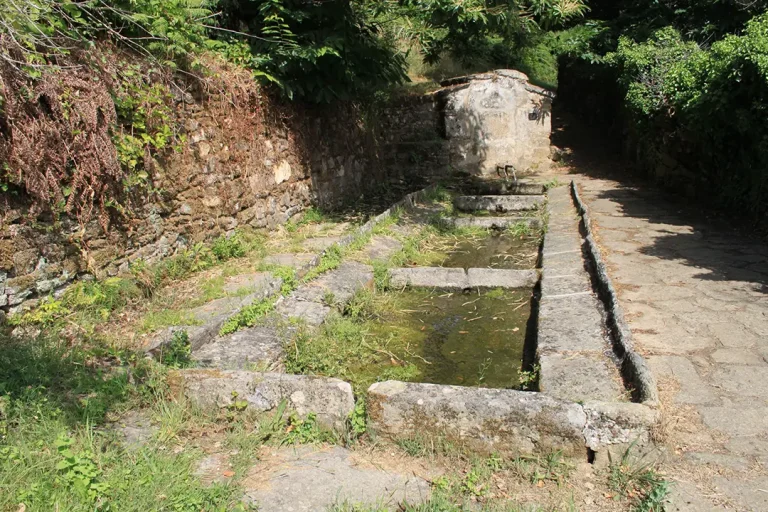 Fuente El Caño Pequeño (Villardeciervos) - Iberlobo on Bike