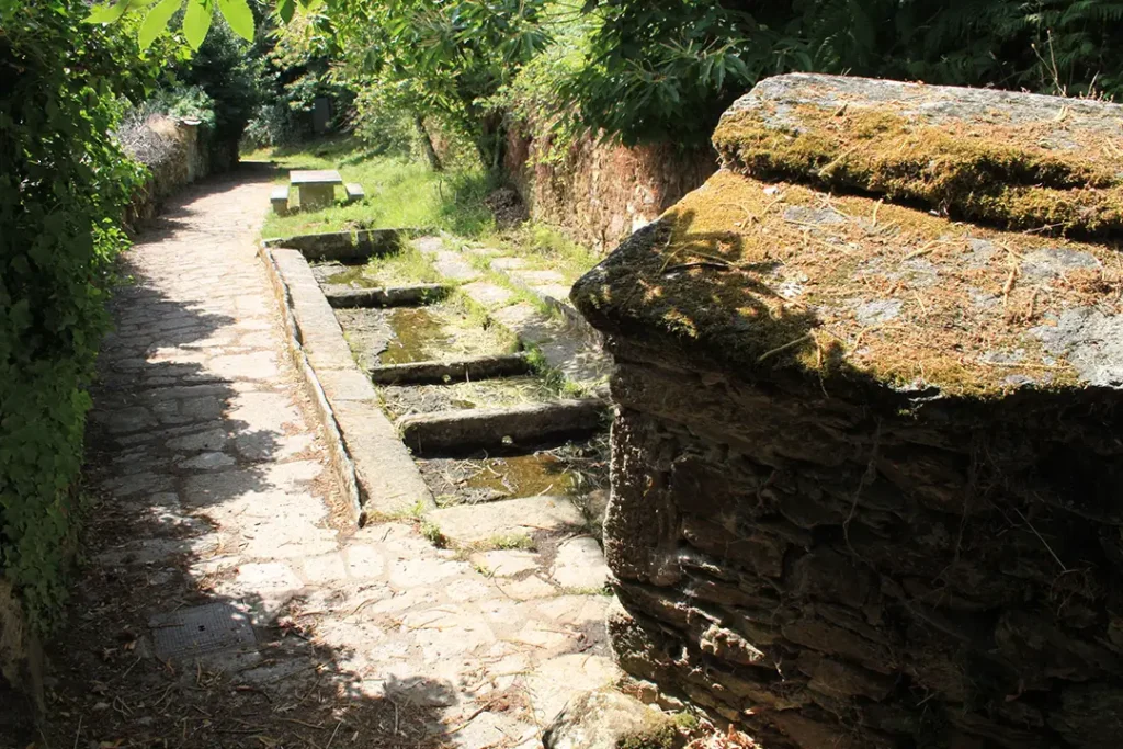 Fuente El Caño Pequeño (Villardeciervos) - Iberlobo on Bike
