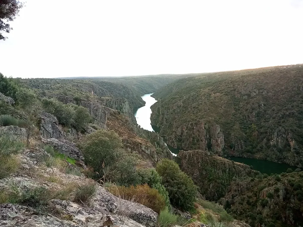 Mirador de las Barrancas (Fariza) - Iberlobo on Bike