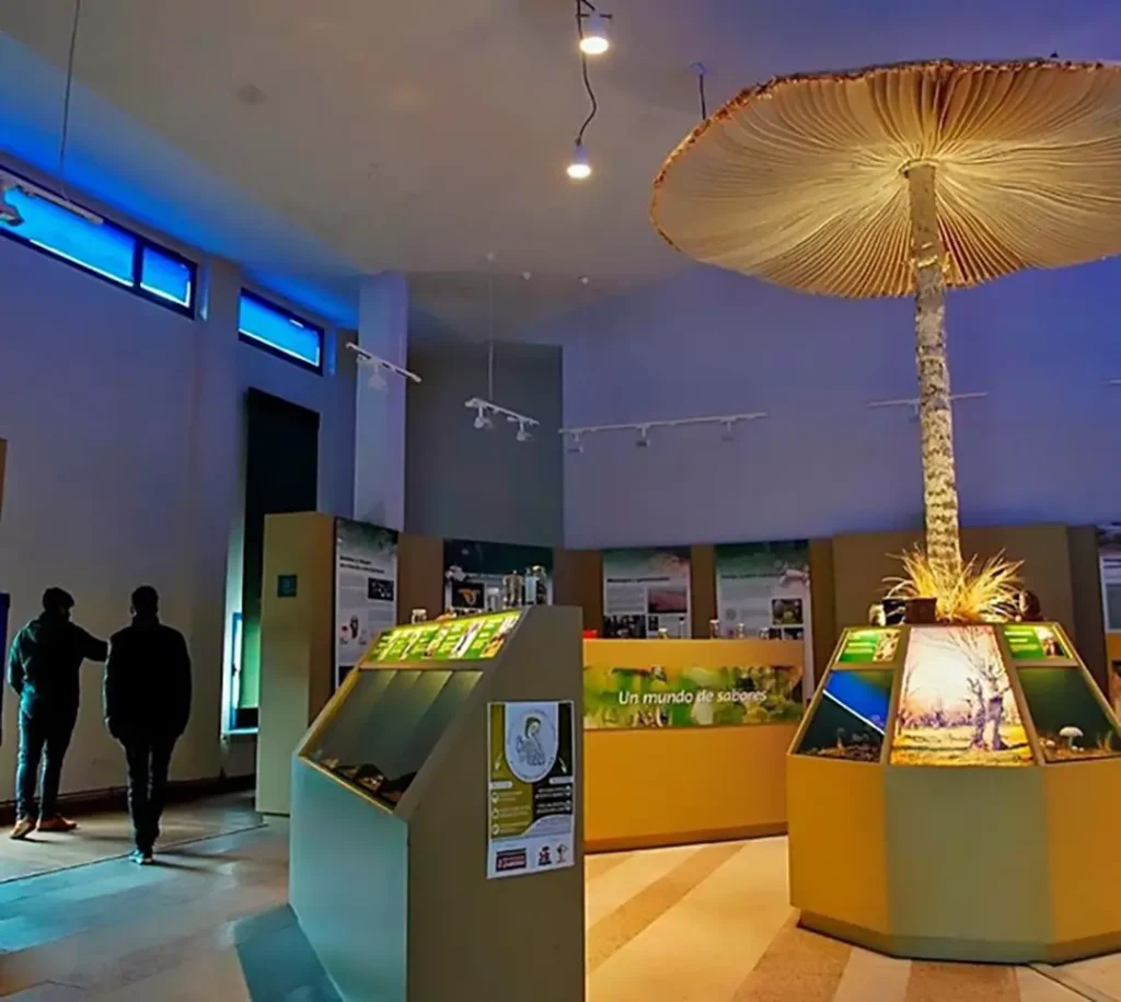 Museo Micológico de Rabanales - Iberlobo on Bike