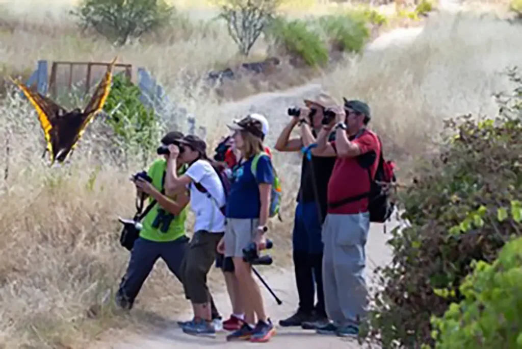 Observación e Interpretación Mariposas y Flora (Fermoselle) - Iberlobo on Bike