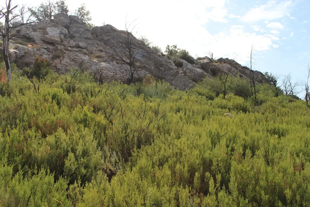 Peña de la Buraca (San Pedro de las Herrerías) - Iberlobo on Bike