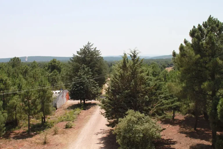 Portilla Blanca (Alcorcillo) - Iberlobo on Bike