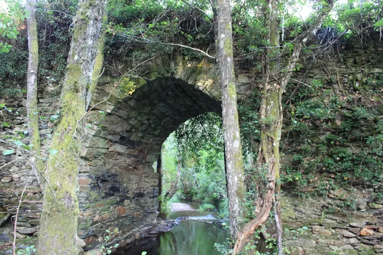 Puente de los Infiernos (Santa Cruz de los Cuérragos) - Iberlobo on Bike