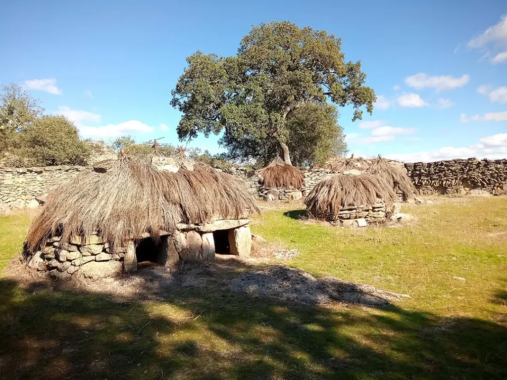 Ruta de los Chiviteros y Mirador del Bolo de la Torta (Torregamones) - Iberlobo on Bike