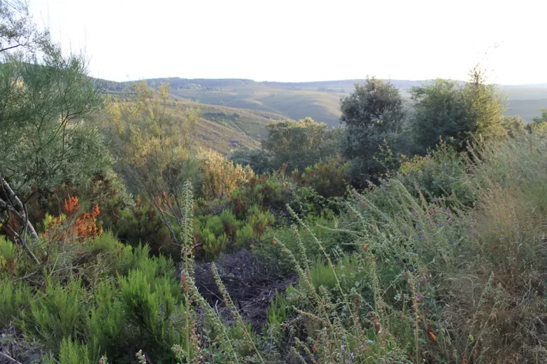 Ruta del contrabando (Santa Cruz de los Cuérragos) - Iberlobo on Bike