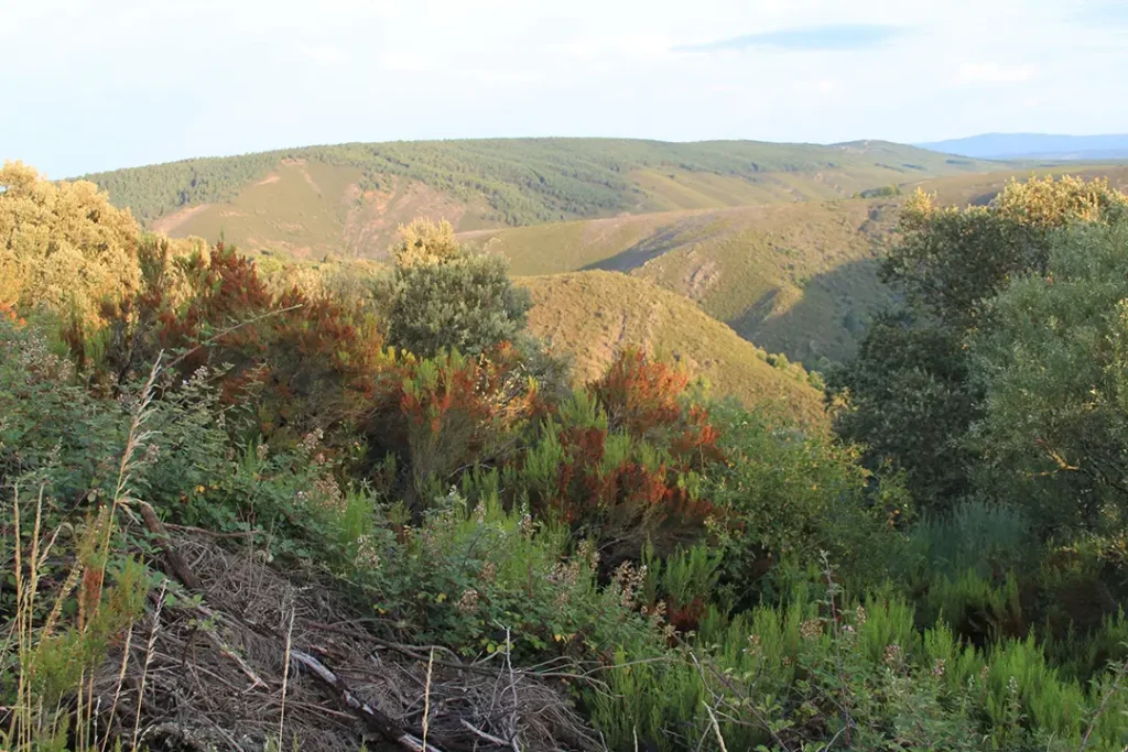 Ruta del contrabando (Santa Cruz de los Cuérragos) - Iberlobo on Bike