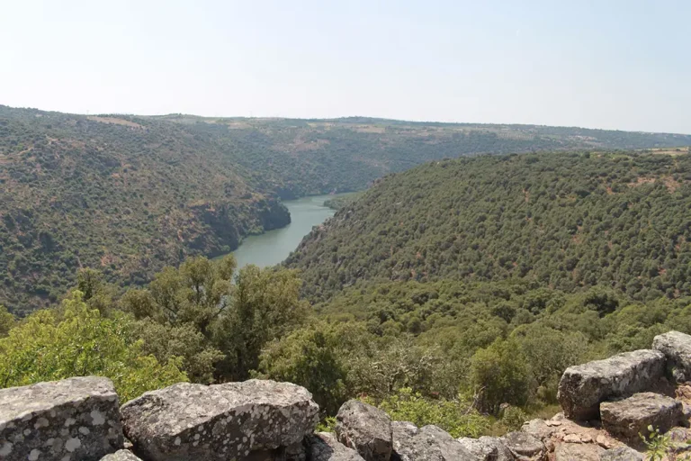 Ruta de los Lagares de Mámoles - Iberlobo on Bike