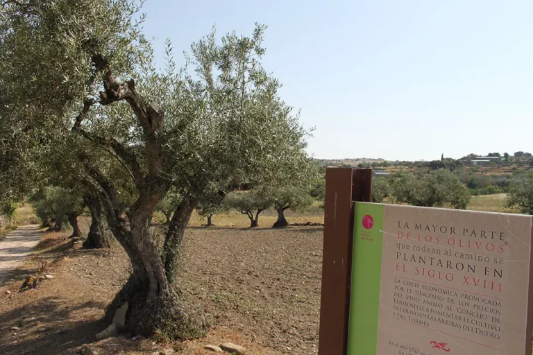 Ruta del S. XVIII. Sendero Interpretativo de la Casa del Parque (Fermoselle) - Iberlobo on Bike