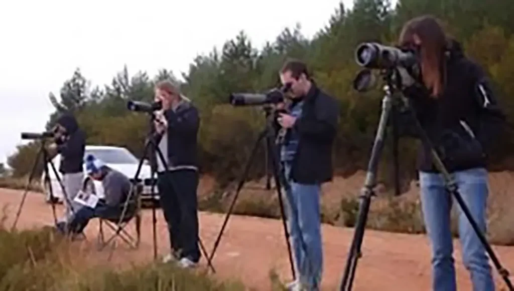 Tras la huella del lobo (avistamientos) - Iberlobo on Bike