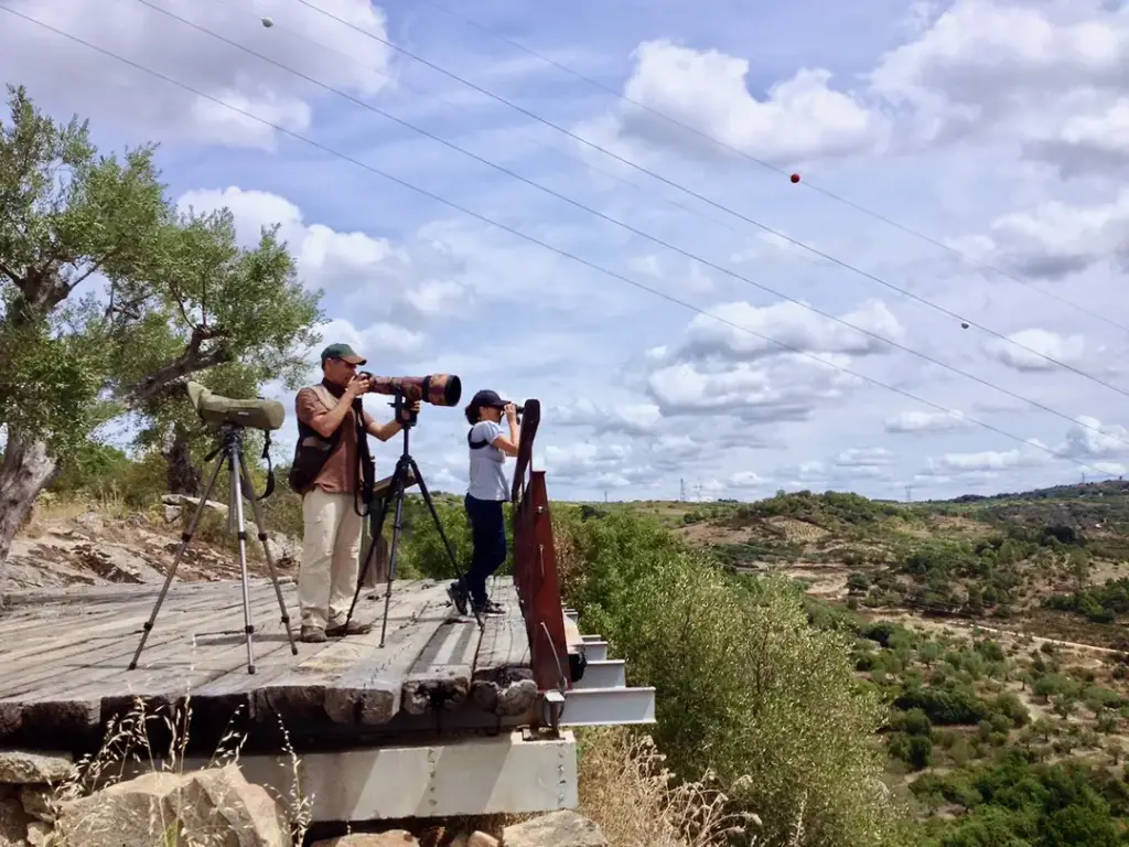 Birdwatching en Terra de Miranda (Miranda do Douro) - Iberlobo on Bike