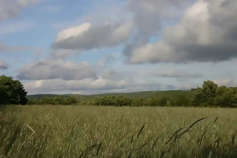 Estación de la Biodiversidad de Carrazedo - Iberlobo on Bike