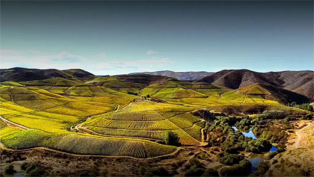 Rota do Azeite (Azeite DOP Kosher) - Vimioso - Iberlobo on Bike