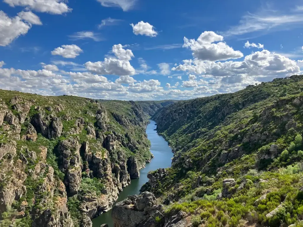 Castro y Mirador de São João das Arribas (Aldeia Nova) - Iberlobo on Bike