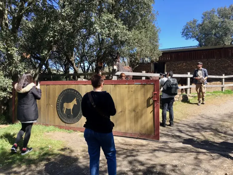 Centro de Valorización del Burro de Miranda (Atenor) - Iberlobo on Bike