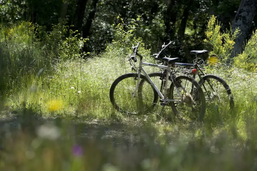 Parque Natural de Montesinho - Iberlobo on Bike